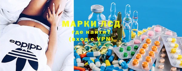 гашик Аркадак